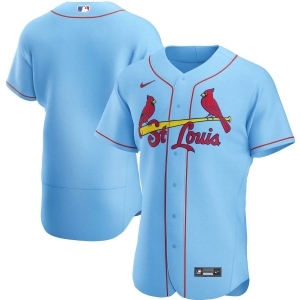 Men's Light Blue Alternate 2020 Authentic Team Jersey