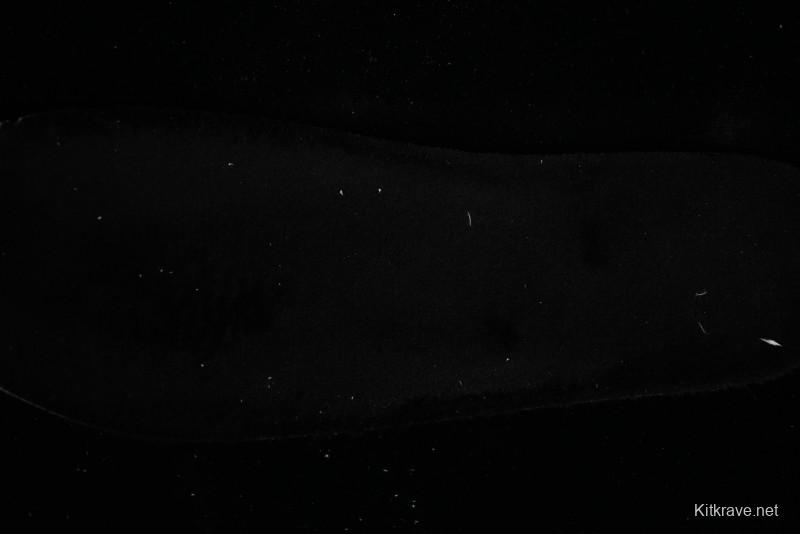 GG-CC Versatile Comfort Commute Fleece Lined Plush Shoes - G23Y6905