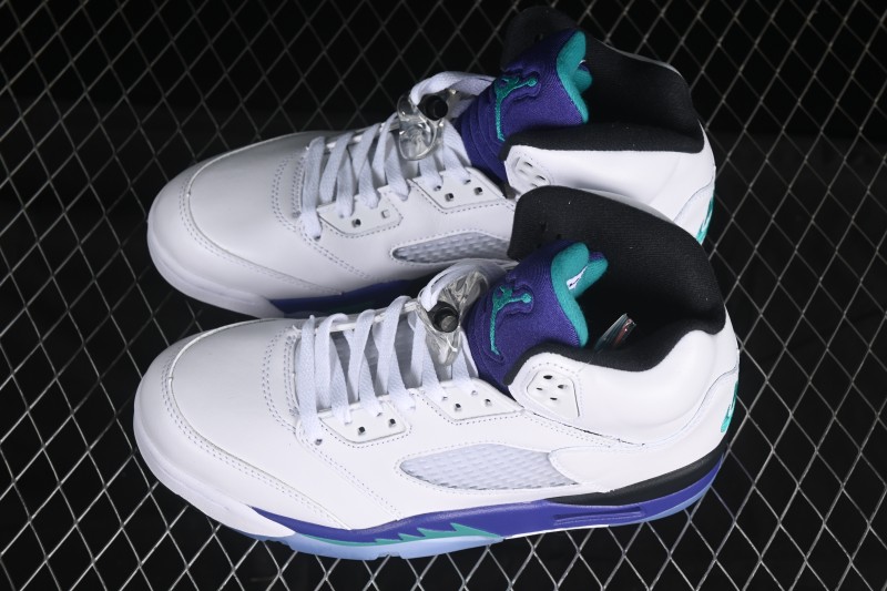 Nike Air Jordan 5 OG Grape Basketball Shoes - HQ7978-100