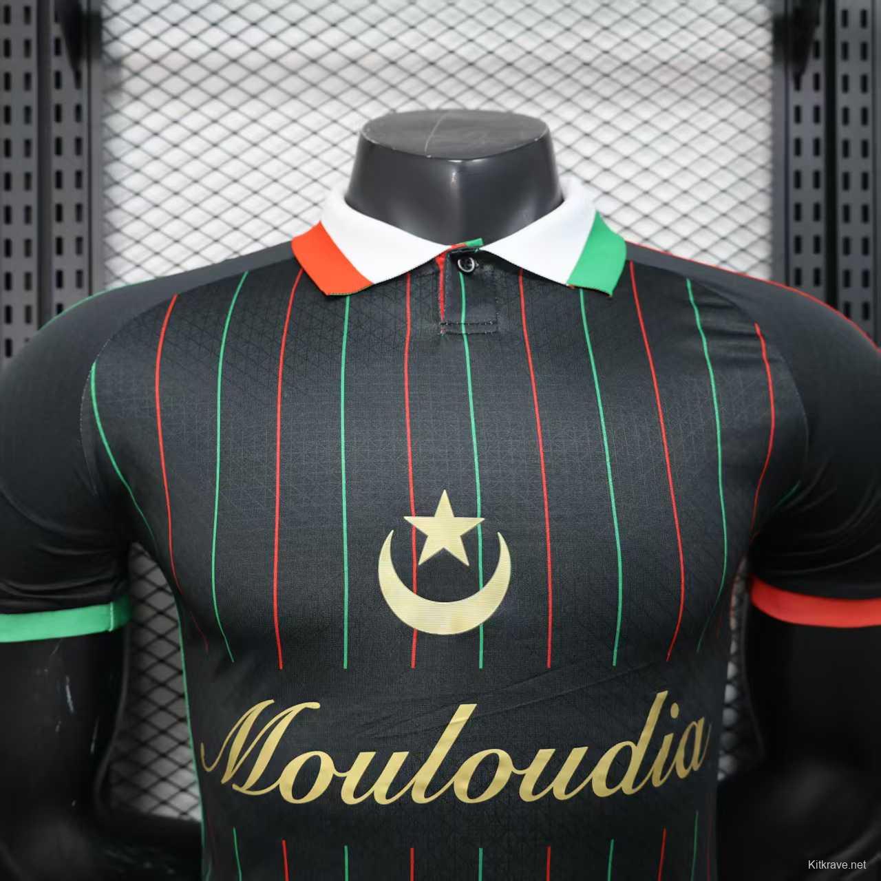 Player Version 25/26 Palestina Black Jersey
